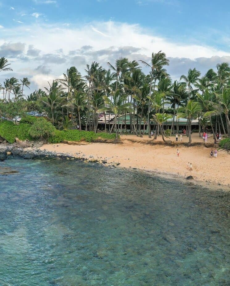 8 Must-Visit Hawaii Restaurants With Breathtaking Ocean Views And Mouthwatering Menus Mama's Fish House, Paia