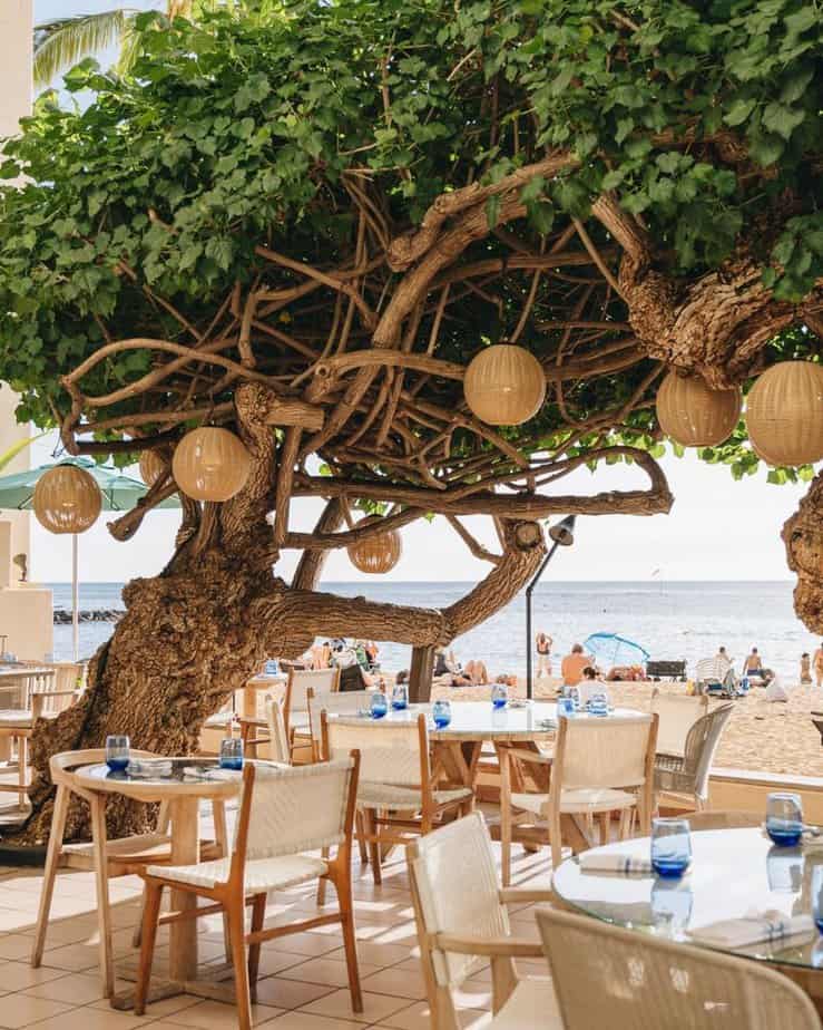 8 Must-Visit Hawaii Restaurants With Breathtaking Ocean Views And Mouthwatering Menus Hau Tree, Honolulu
