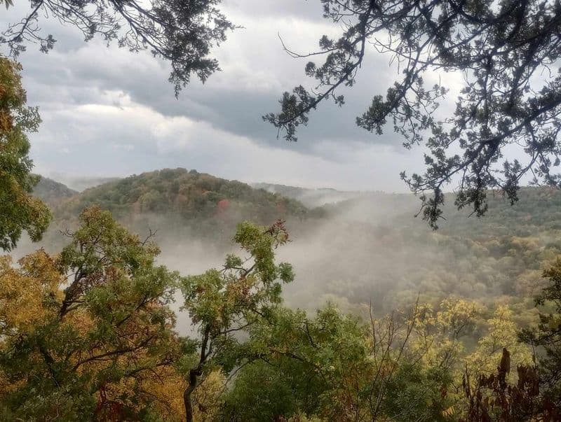 9 Iowa Gems We’ve Known Forever—But Still Feel Like a Secret Yellow River State Forest - Allamakee County