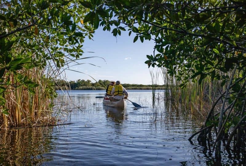 9 Must-Do Adventures in the Florida Everglades Kayaking or Canoeing the Wilderness Waterways