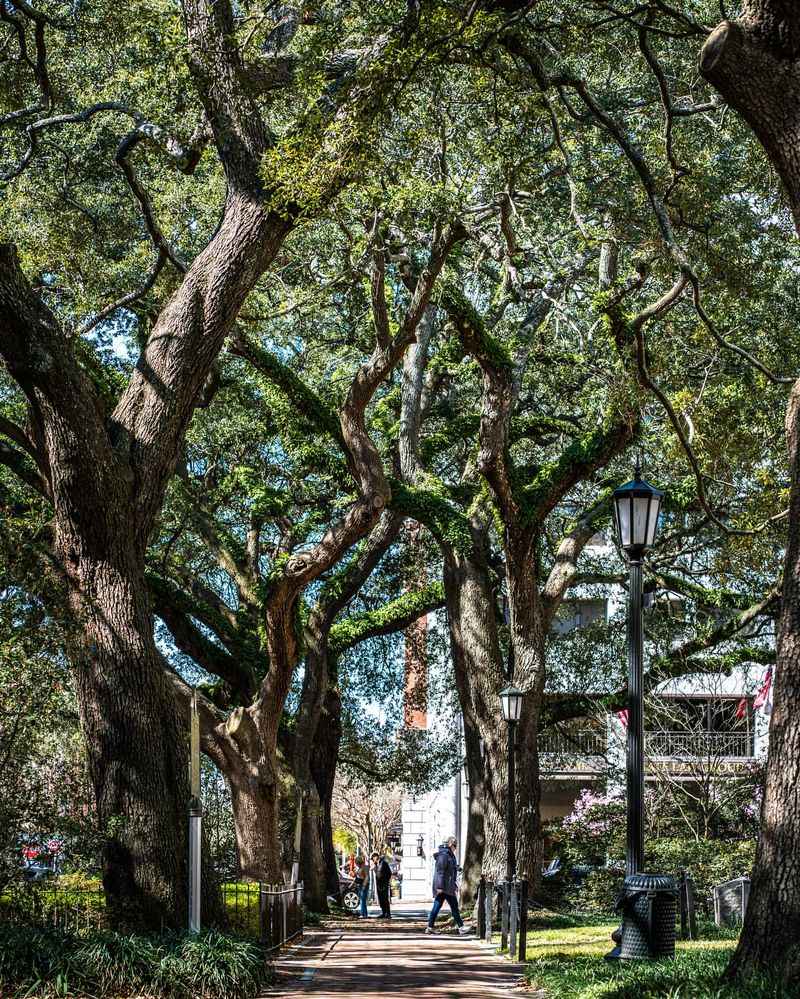 The Vibe Is All About Slow Strolls and Southern Charm