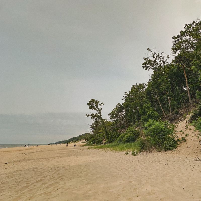 Saugatuck Dunes State Park & Town