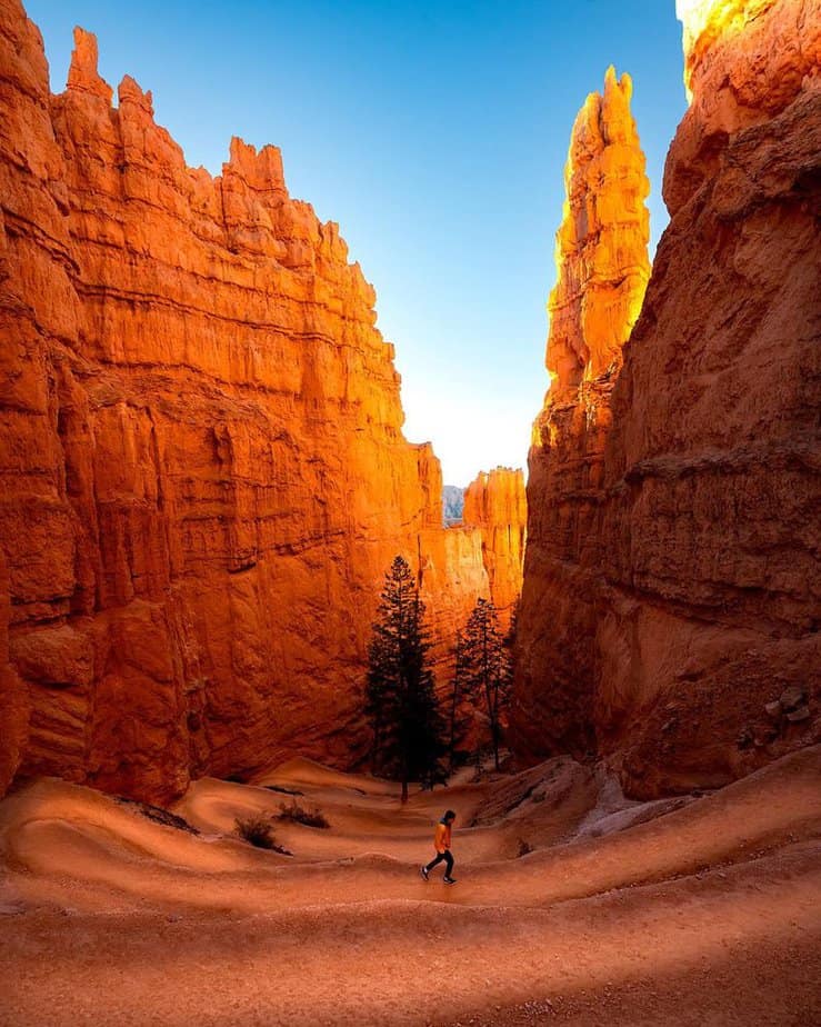 Hike the Navajo Loop Trail