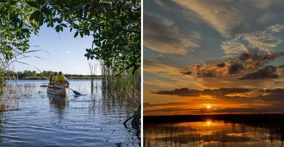 9 Must-Do Adventures in the Florida Everglades