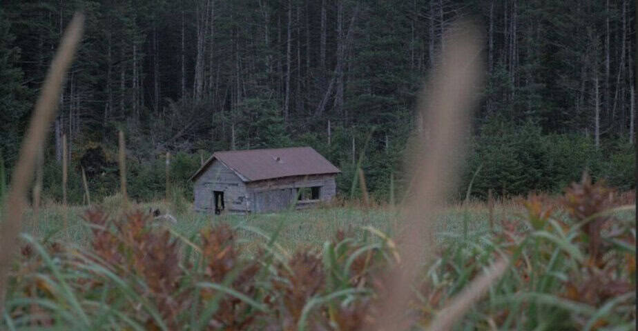 9 mysterious reasons you should explore portlock alaska