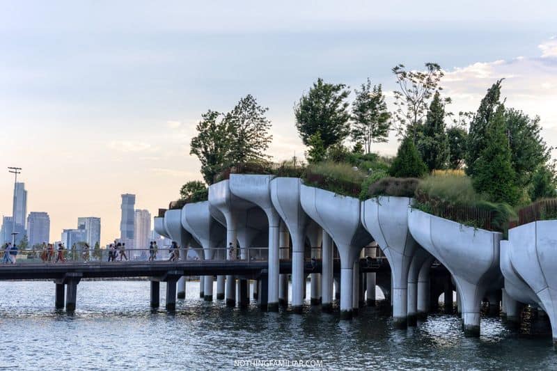 Check Out the View from Little Island