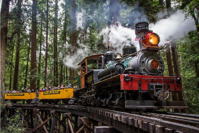 Roaring Camp Railroads