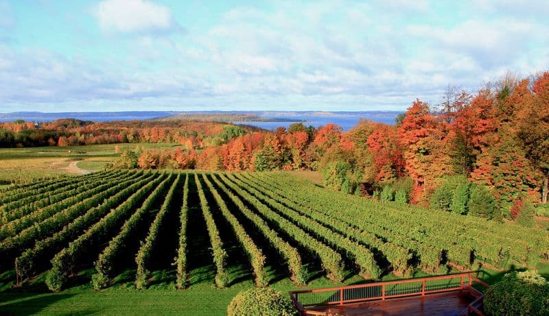 Michigan's Wine Country