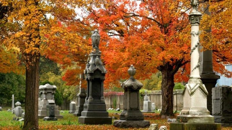 Elmwood Cemetery