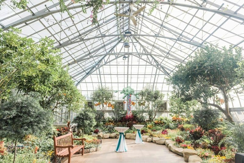 Wander Through Tropical Paradise at Krohn Conservatory