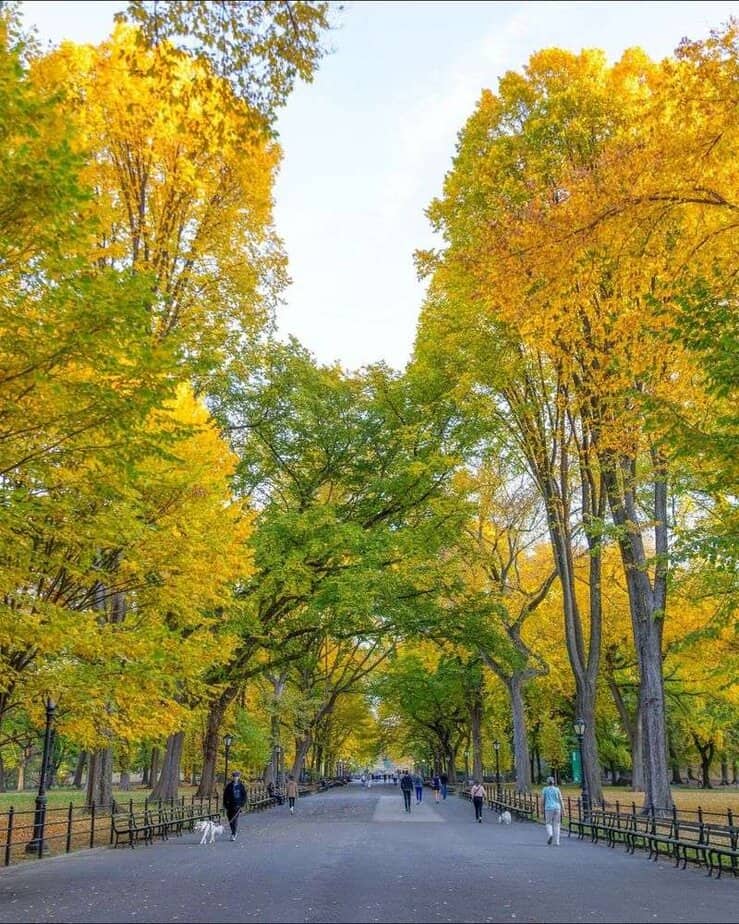 The Mall and Literary Walk