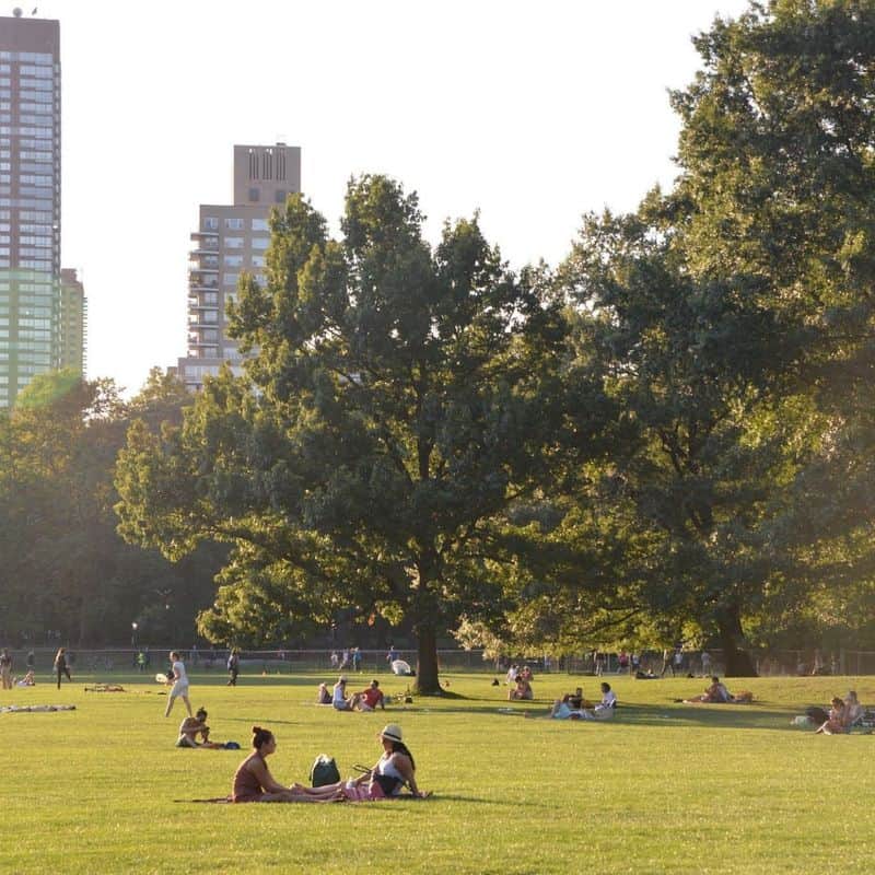 Sheep Meadow