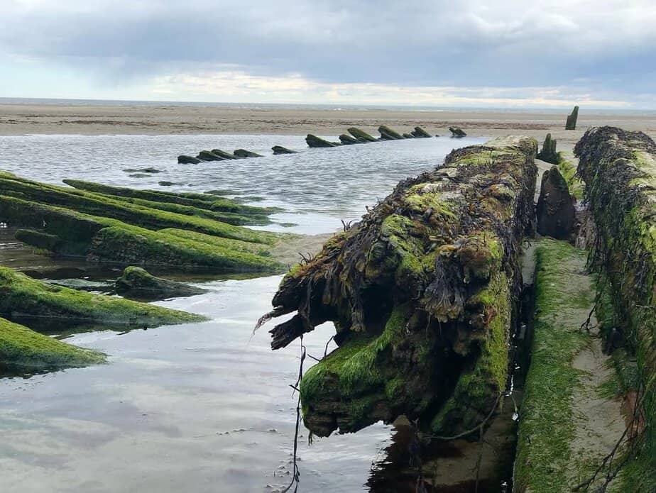 snapins ai 2805053194557804889