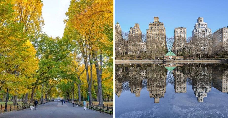 What to Do in Central Park: 10 Must-Sees That Capture Its Magic