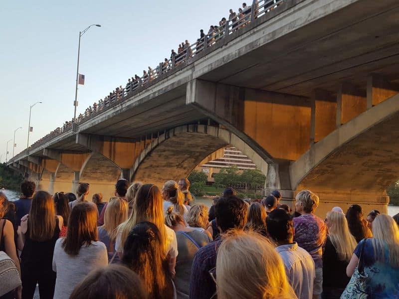 Watch the Bats at Congress Avenue Bridge