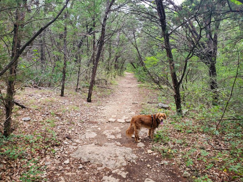 10 Austin Hiking Trails You’ll Want to Explore Again and Again St. Edward’s Park Trail