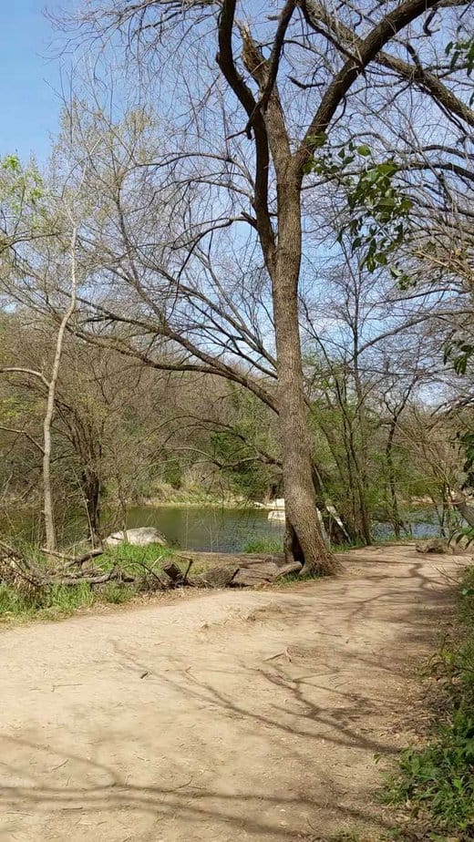 10 Austin Hiking Trails You’ll Want to Explore Again and Again Barton Creek Greenbelt