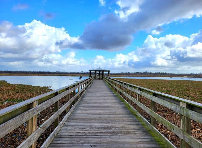 10 Best Things to Do in Beaumont, Texas Cattail Marsh Scenic Wetlands & Boardwalk