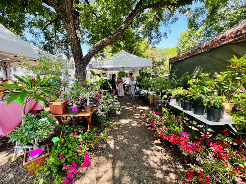 Boerne Market Days — Boerne (Hill Country)