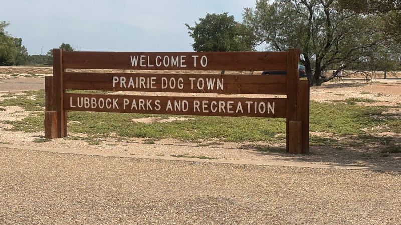 11 Awesome Things to Do in Lubbock, Texas That Locals Love Prairie Dog Town (Mackenzie Park)