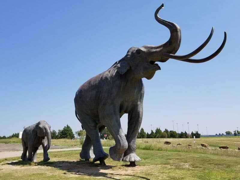 11 Awesome Things to Do in Lubbock, Texas That Locals Love Lubbock Lake National Historic Landmark