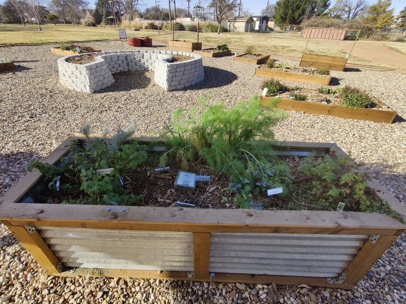 11 Awesome Things to Do in Lubbock, Texas That Locals Love Lubbock Memorial Arboretum