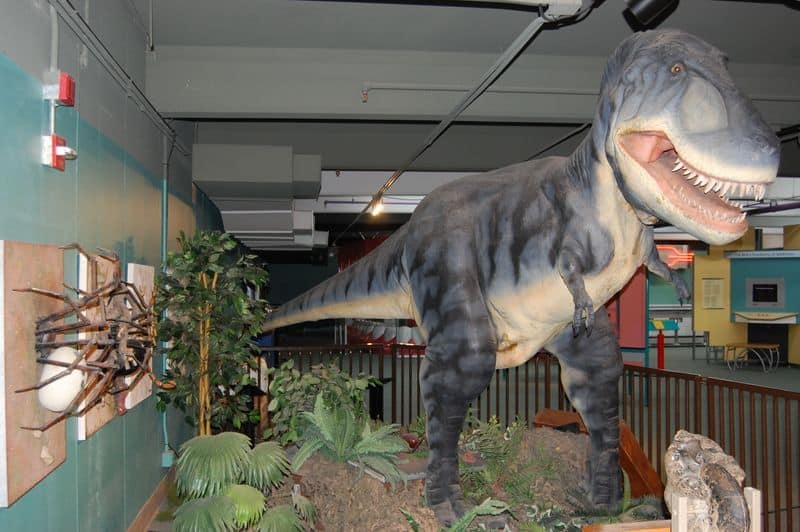 11 Awesome Things to Do in Lubbock, Texas That Locals Love Science Spectrum & Omni Theater