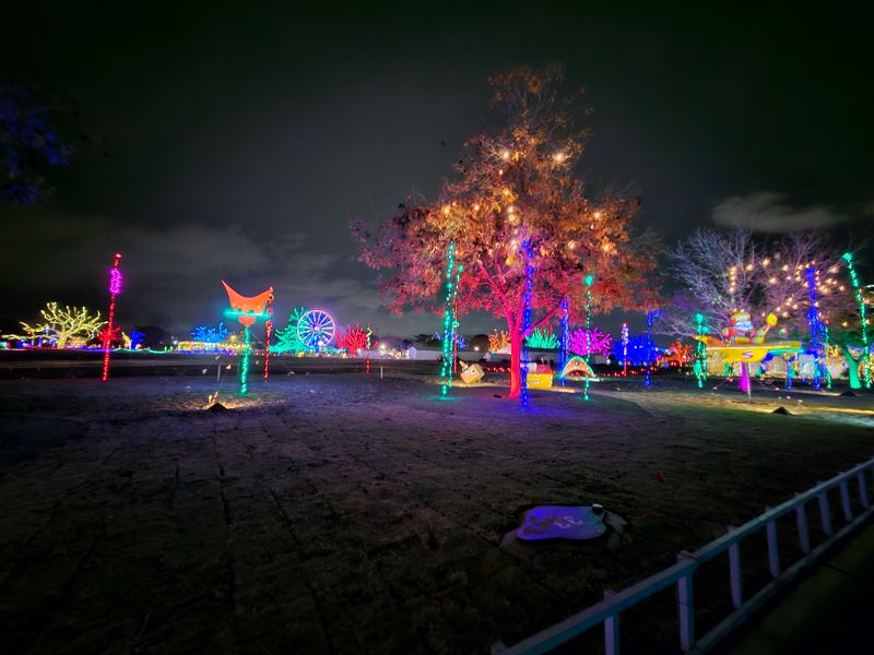 12 Free & Fun Things to Do in Austin, TX Attend Blues on the Green