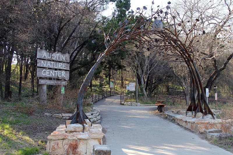 12 Free & Fun Things to Do in Austin, TX Austin Nature & Science Center