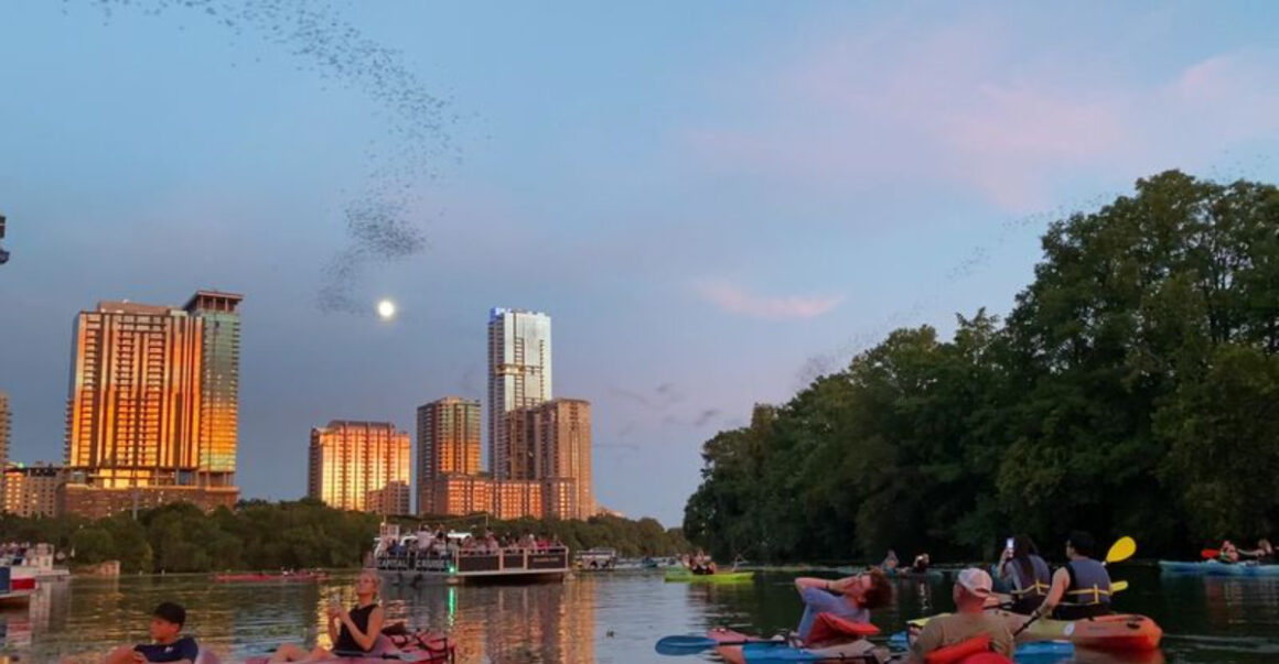 12 free fun things to do in austin tx