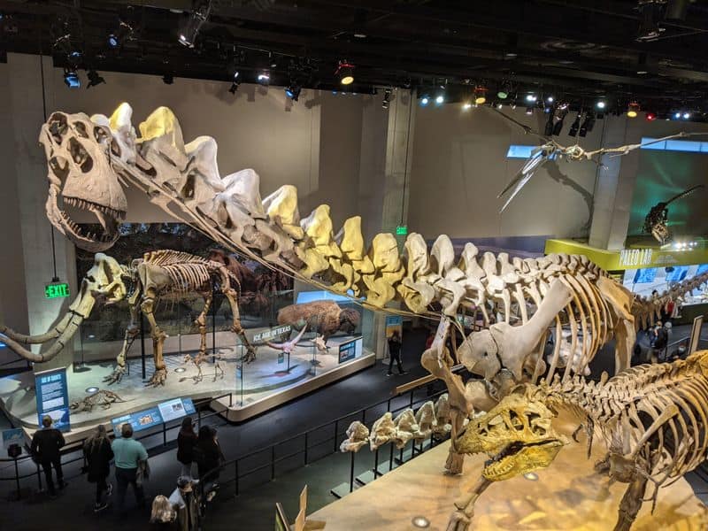 13 Dallas Attractions That Make Family Trips Unforgettable Perot Museum of Nature and Science