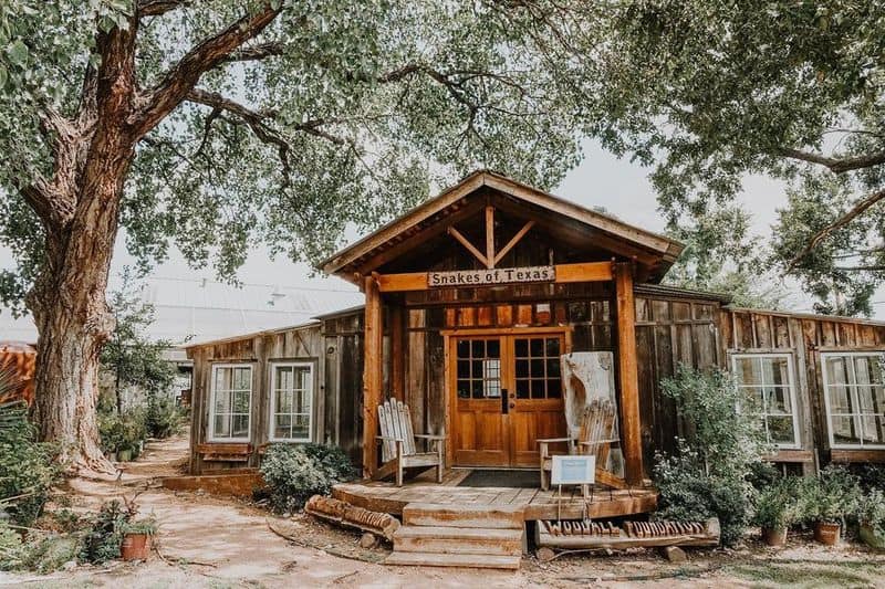 13 Dallas Attractions That Make Family Trips Unforgettable Texas Discovery Gardens at Fair Park