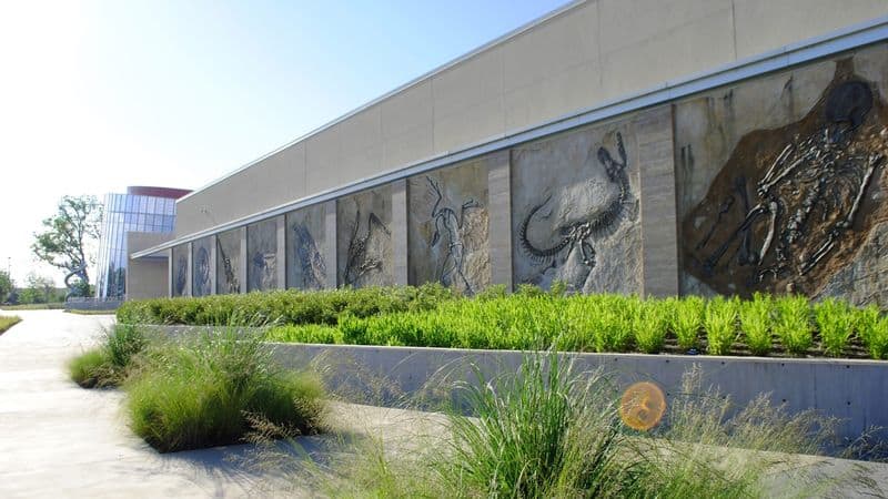13 Dallas Attractions That Make Family Trips Unforgettable ICR Discovery Center