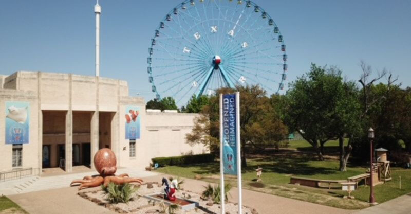 13 Dallas Attractions That Make Family Trips Unforgettable