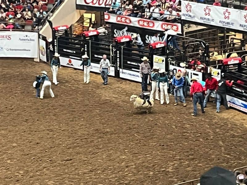 7 Legendary Texas Rodeos That Helped Shape Texas Tradition San Angelo Stock Show & Rodeo (San Angelo)