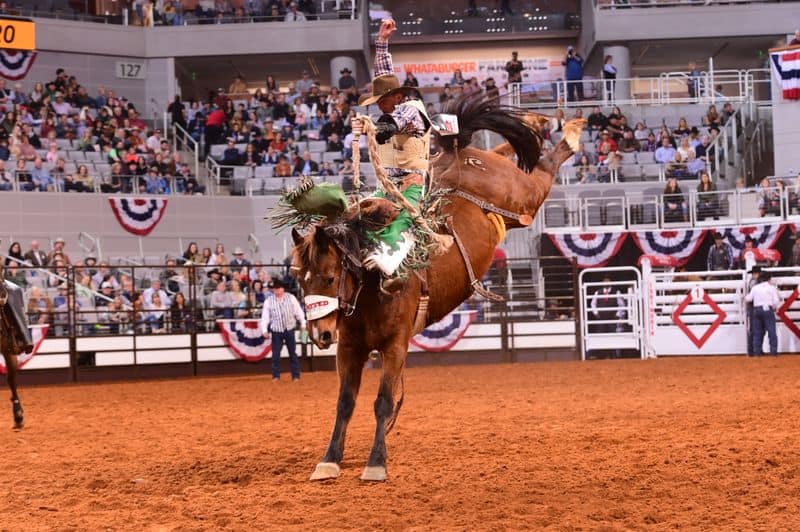 7 Legendary Texas Rodeos That Helped Shape Texas Tradition Fort Worth Stock Show & Rodeo (Fort Worth)