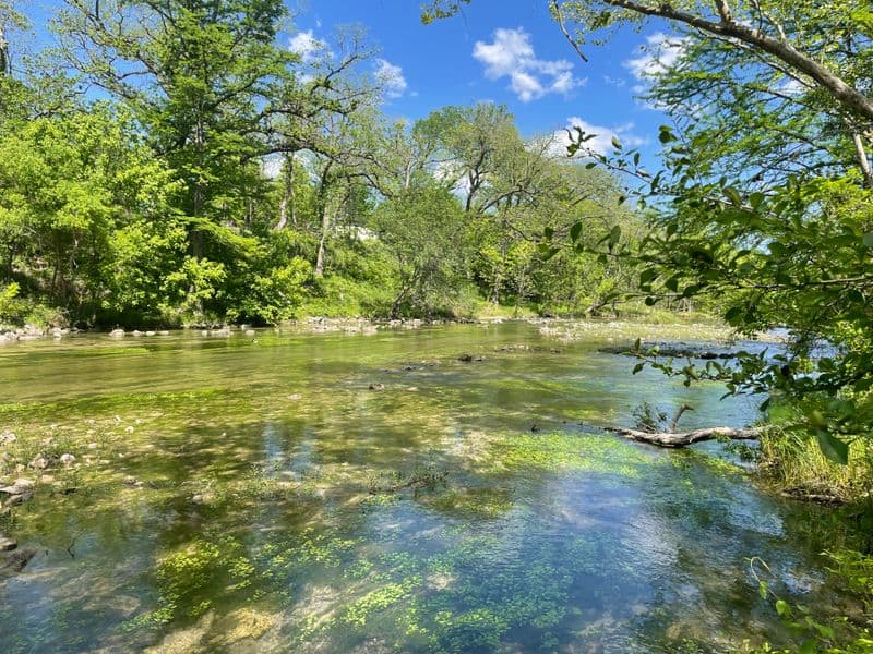 Guadalupe River (Upper Guadalupe, Canyon Lake area)