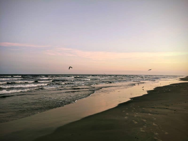 Padre Island National Seashore
