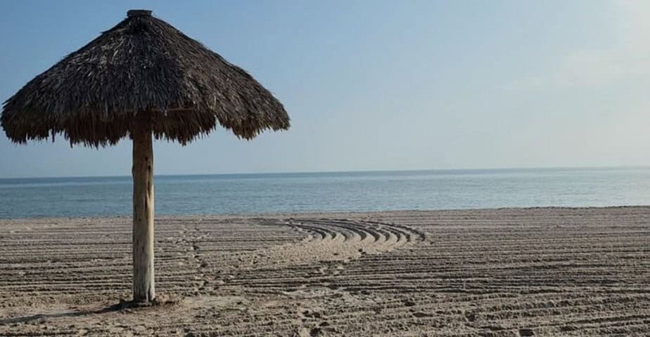 7 texas beaches that are way more interesting than you