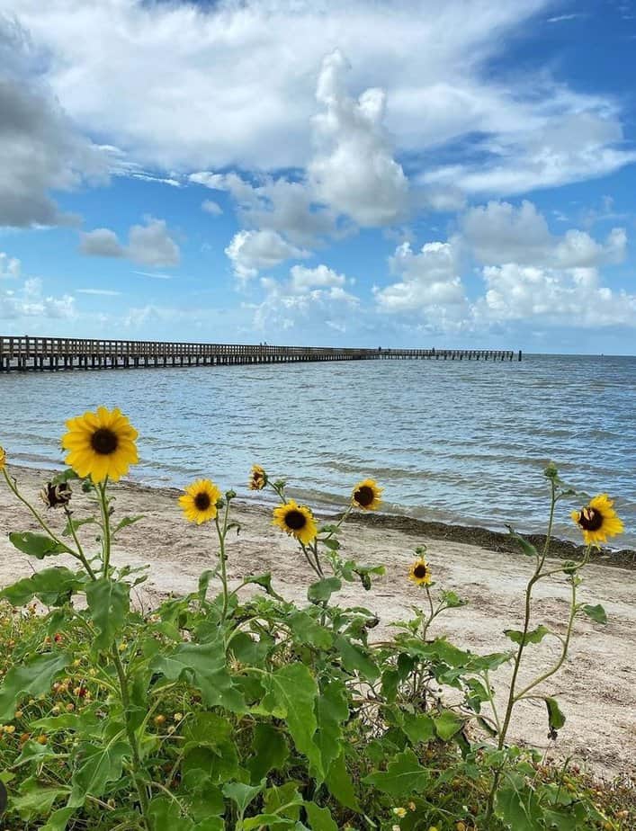 9 Texas Beaches With Sand That Looks Almost Unreal Rockport Beach