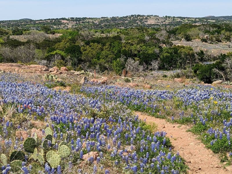 Burnet & Inks Lake State Park