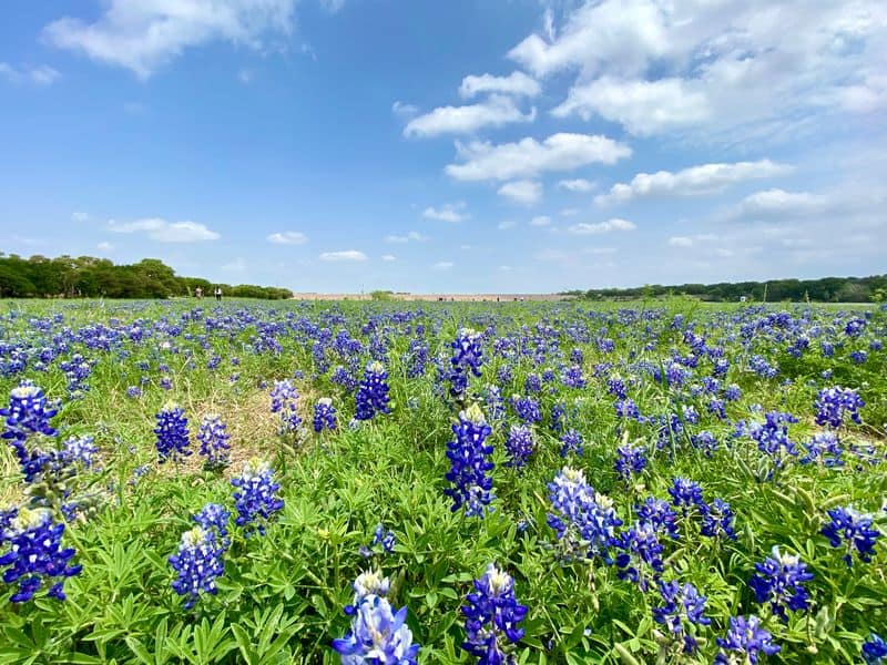 Brushy Creek Lake Park (Cedar Park)