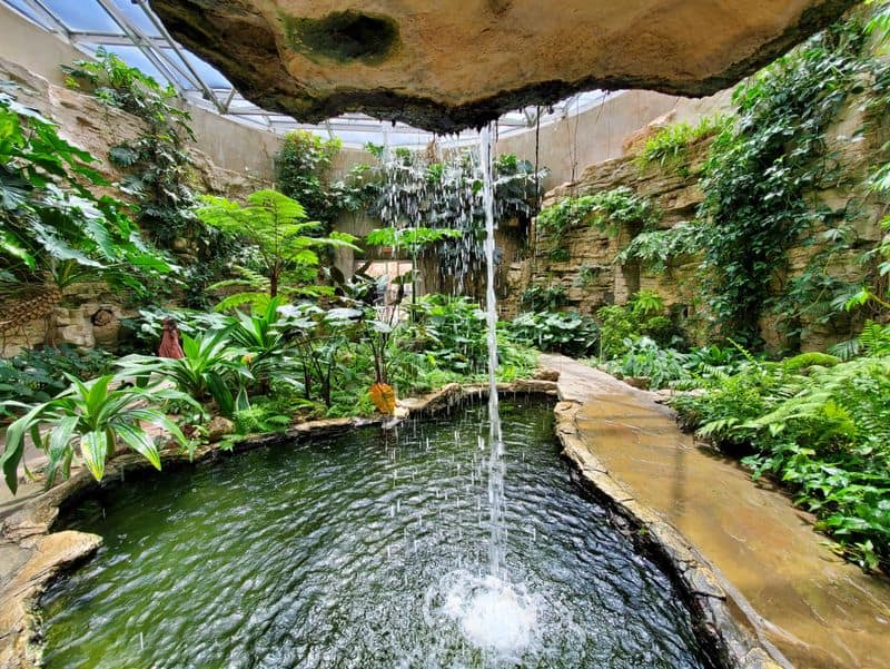 San Antonio Botanical Garden