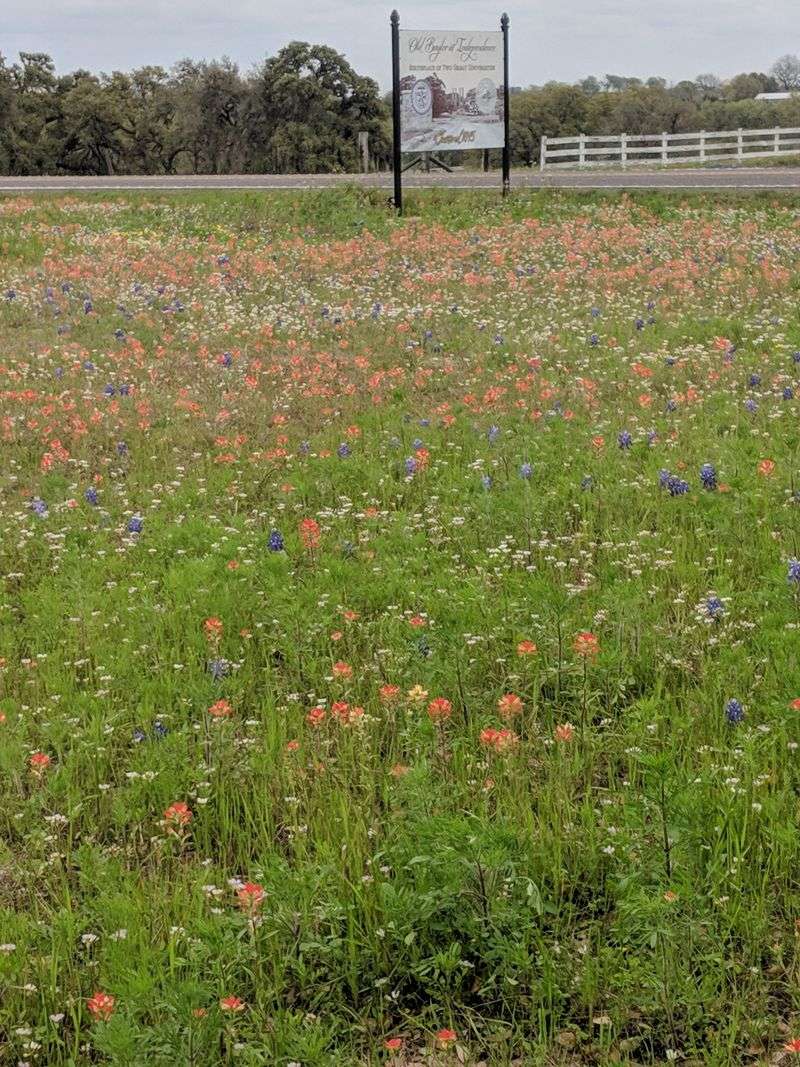 Brenham & Old Baylor Park