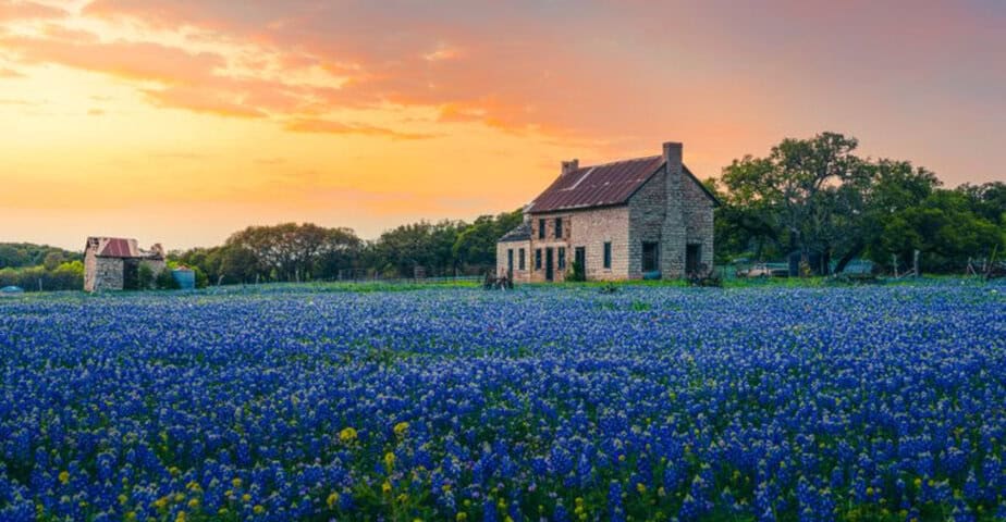 9 texas bluebonnet spots that feel like springtime magic