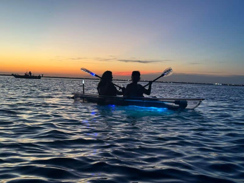 Booking Tips, Hours, and Best Times