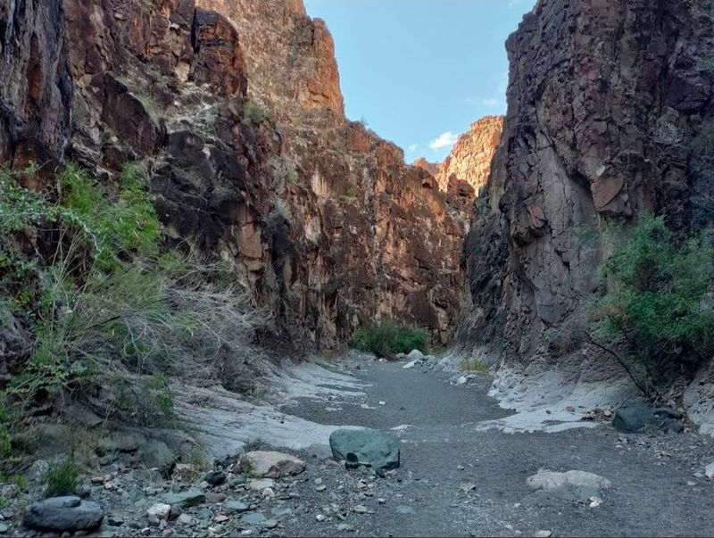 Big Bend Ranch State Park (West Texas)