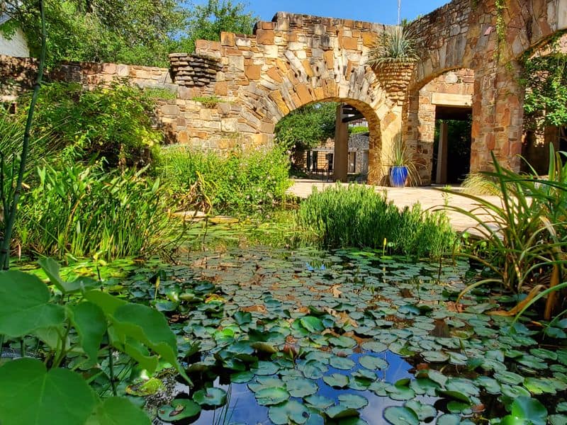 Lady Bird Johnson Wildflower Center (Austin area)