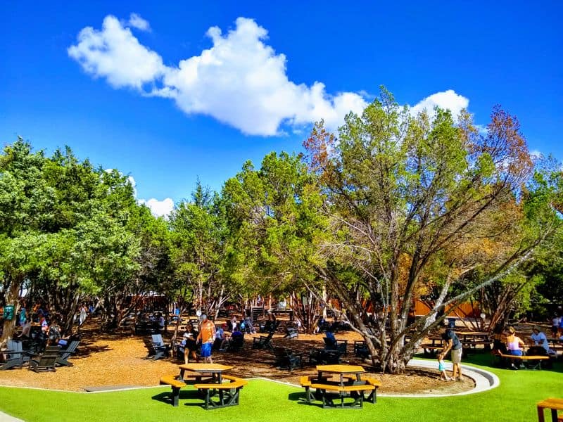 A Texas Brewery Where Kids Play, Ice Cream Rolls, and Beer Flows Family Friendly Playground Vibes