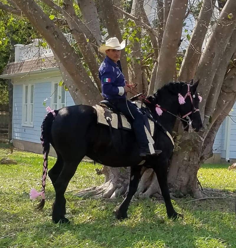Charro Horsemanship and Escaramuzas